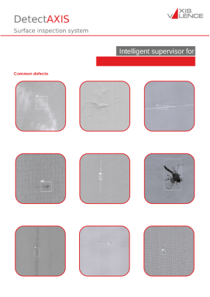 DetectAXIS surface inspection system